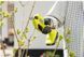 Секатор аккумуляторный 18В ONE+, Ryobi RY18SCA-0