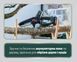 Акумуляторна ланцюгова пила Metabo MS 18 LTX 15 Set