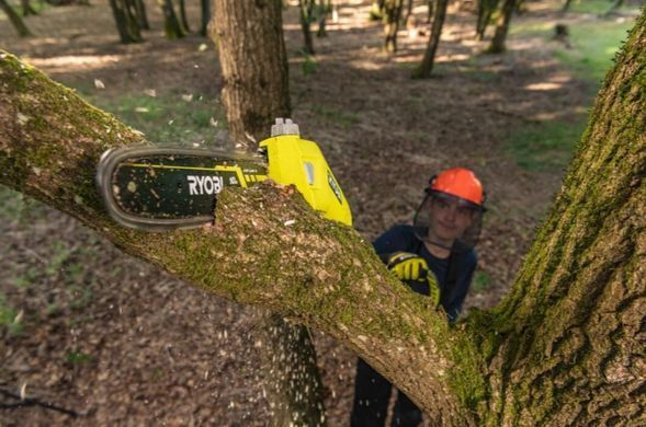 Акумуляторний ланцюговий висоторіз 36В MAX POWER, 25см, довжина 3м, Ryobi RY36PP25A-0. 5133005786