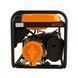 Бензиновый генератор EF Power TBS3600