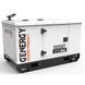 Генератор дизельный GENERGY GDS10T, 8кВт
