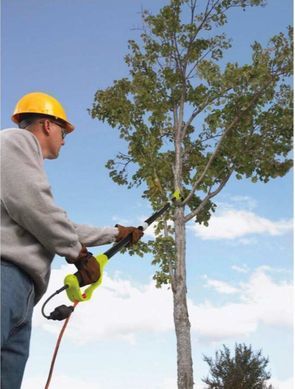 Електричний ланцюговий висоторіз 750Вт, 25см, Ryobi RPP755E (5133002321)