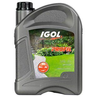 Моторное масло Igol Profil H 4T SAE 10W-30 2 л для 4-тактных