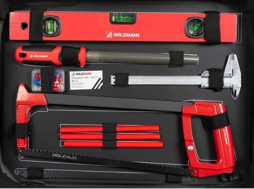 Ящик для инструментов Holzmann WZK167PRO, 167 предметов