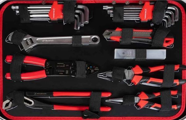 Ящик для инструментов Holzmann WZK167PRO, 167 предметов