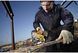 Аккумуляторный лобзик 18V XR Li-Ion, 0-3000 ход/мин, DeWALT DCS331N