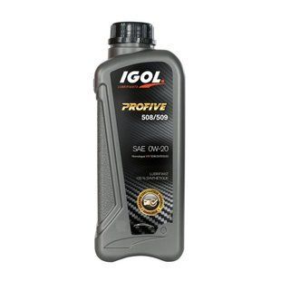 Моторное масло Igol Profive 508/509 0W-20 5 л, синтетическое
