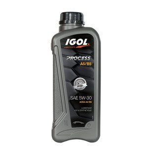 Моторное масло IGOL Process A5/B5 5W-30 1 л синтетическое